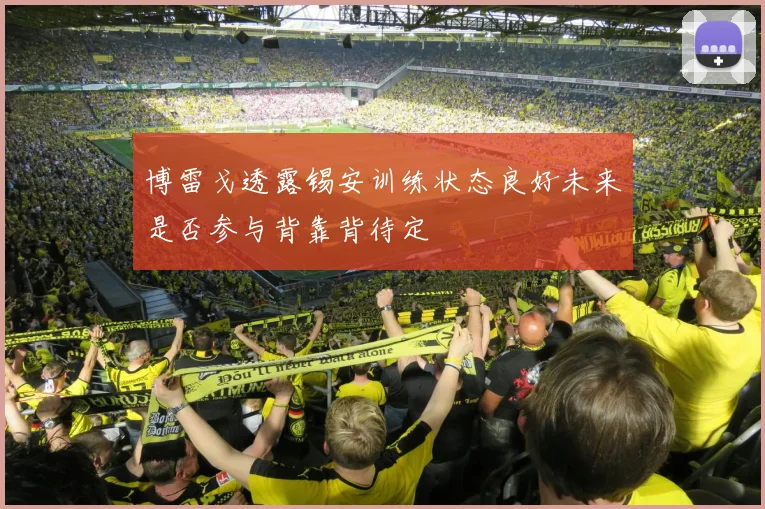 博雷戈透露锡安训练状态良好未来是否参与背靠背待定