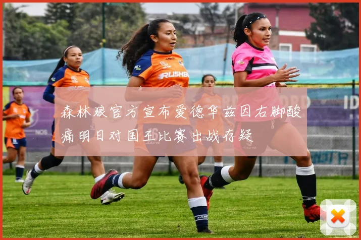 森林狼官方宣布爱德华兹因右脚酸痛明日对国王比赛出战存疑