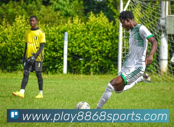 8868体育平台生态图