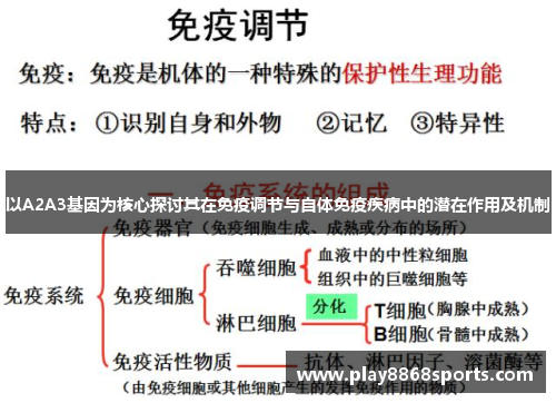 以A2A3基因为核心探讨其在免疫调节与自体免疫疾病中的潜在作用及机制